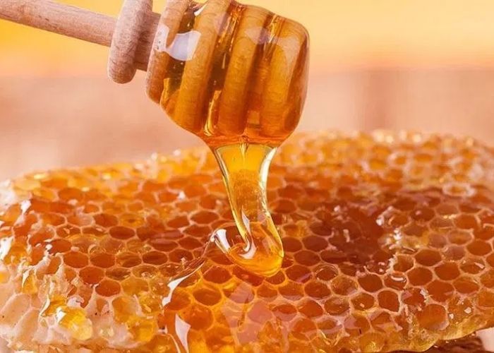 Video giới thiệu sản phẩm OCOP Quỳnh Lưu - Mật ong rừng Quỳnh Châu.